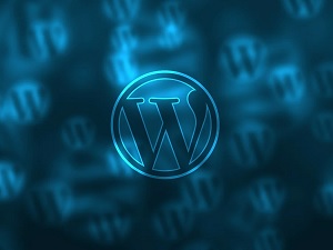 WordPress Loginizer Plugin has Automatically Updated Due To Vulnerability